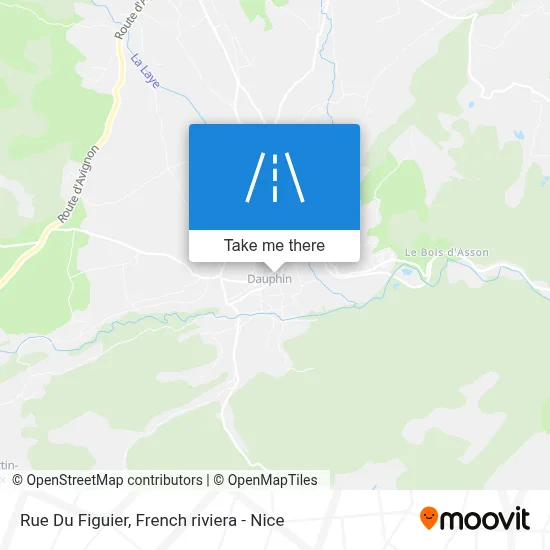 Rue Du Figuier map