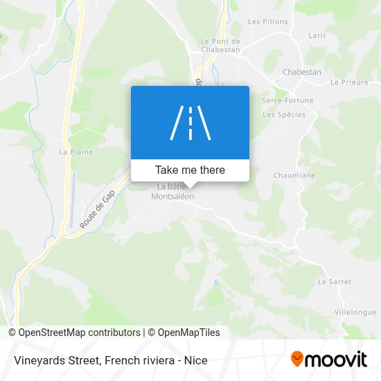 Rue Des Vignes map