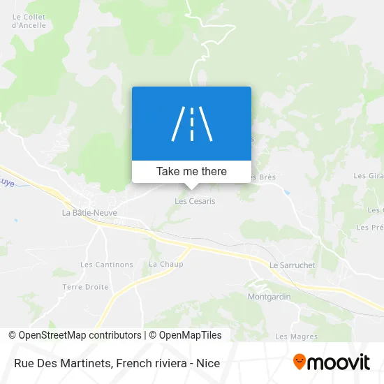 Rue Des Martinets map