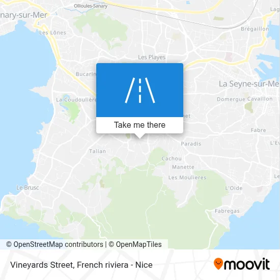 Rue Des Vignes map