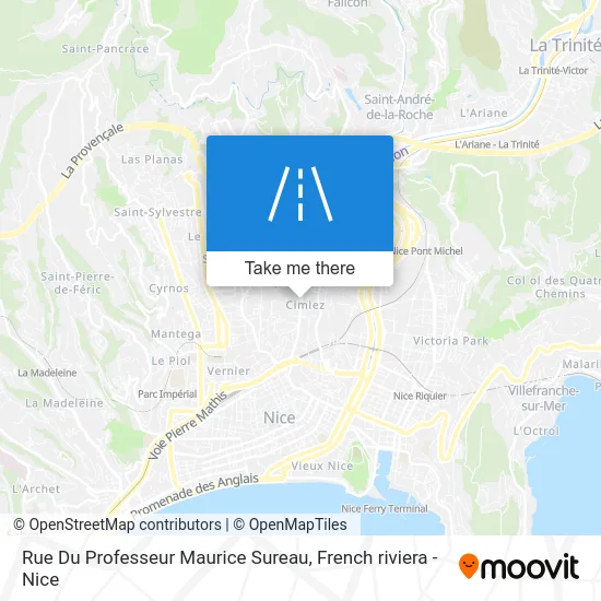 Rue Du Professeur Maurice Sureau map