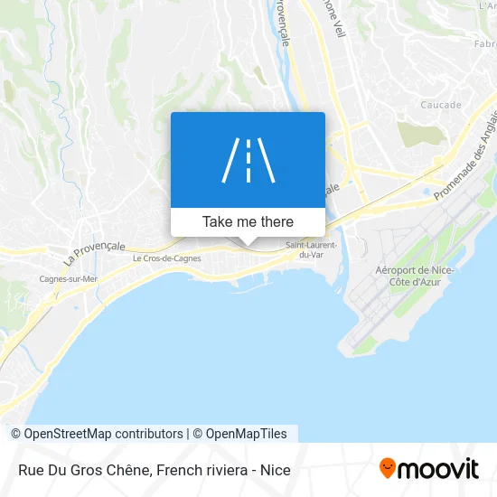 Rue Du Gros Chêne map