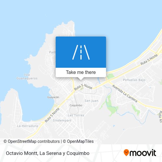 Octavio Montt map