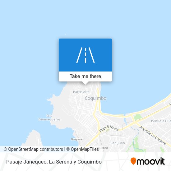 Pasaje Janequeo map