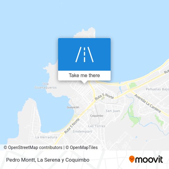 Pedro Montt map