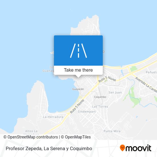 Mapa de Profesor Zepeda