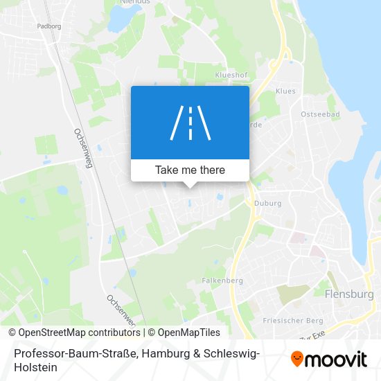 Professor-Baum-Straße map