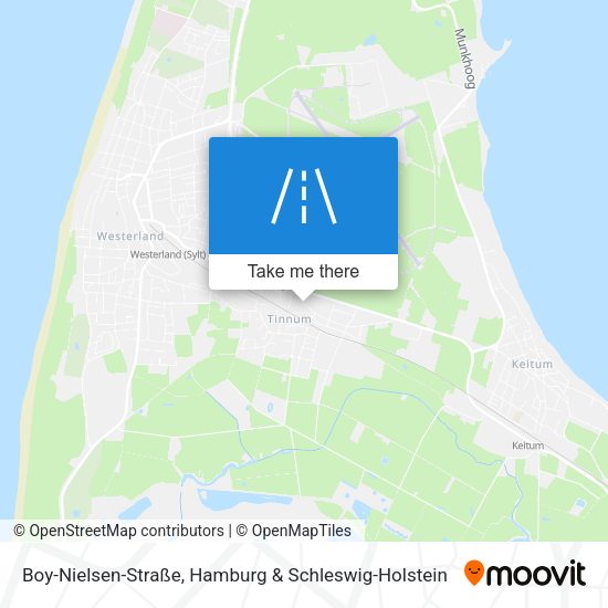 Boy-Nielsen-Straße map