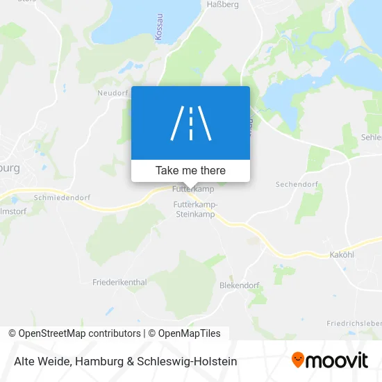 Карта Alte Weide