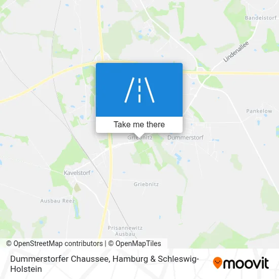 Dummerstorfer Chaussee map