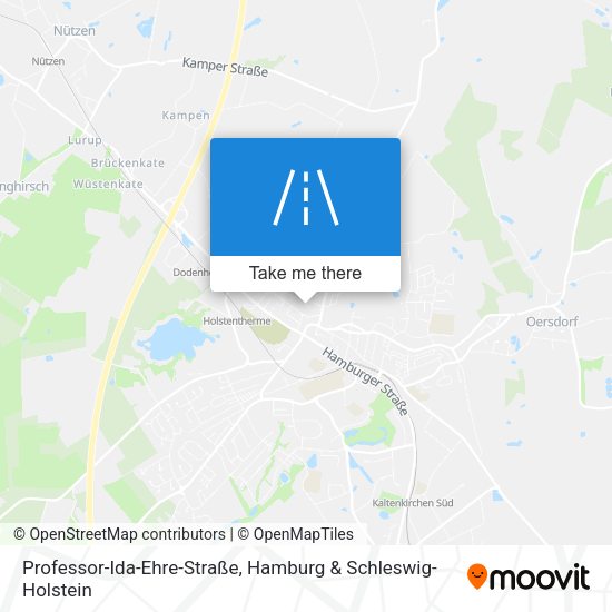 Professor-Ida-Ehre-Straße map