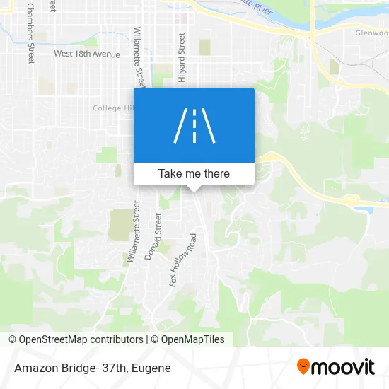 Amazon Bridge- 37th map