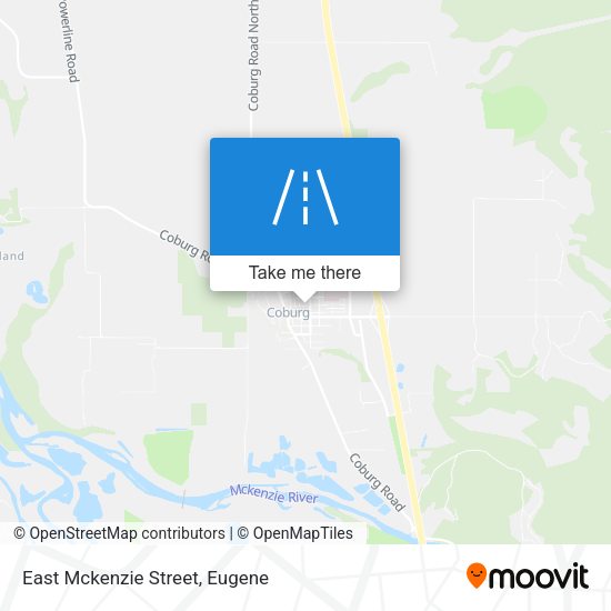 East Mckenzie Street map