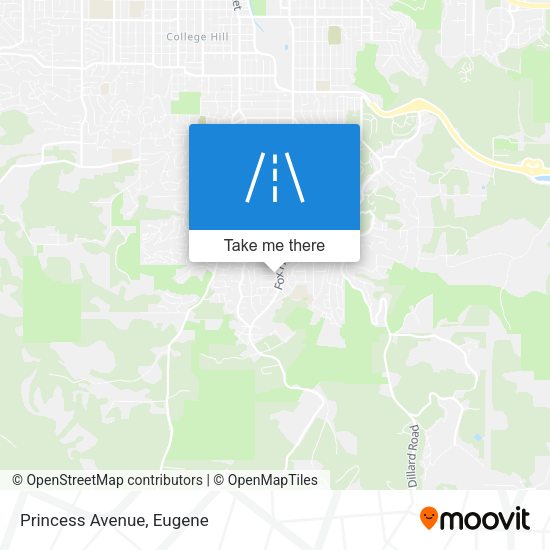 Mapa de Princess Avenue