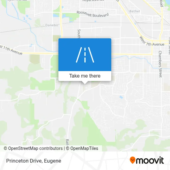 Princeton Drive map