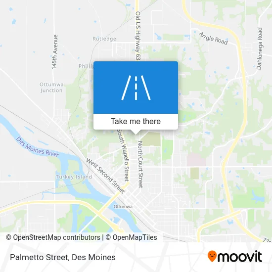 Palmetto Street map
