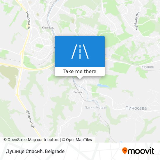 Душице Спасић map