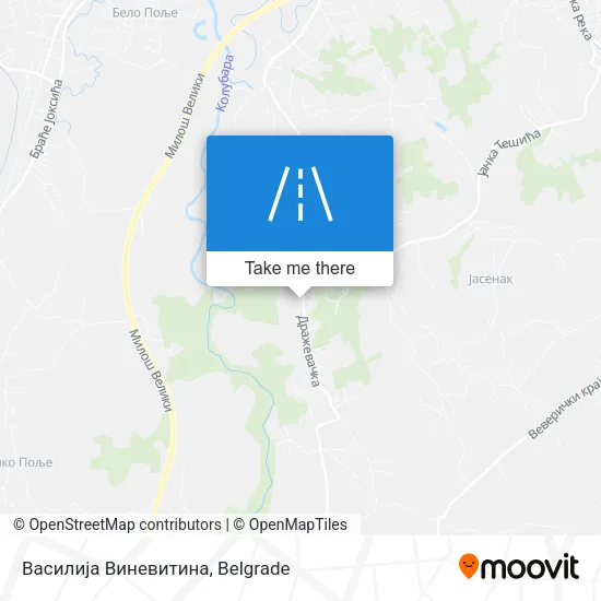 Василија Виневитина map