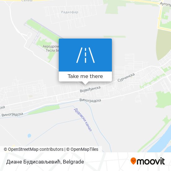 Диане Будисављевић map