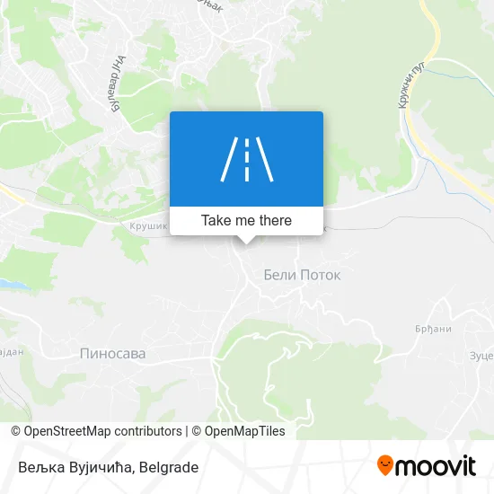 Вељка Вујичића map