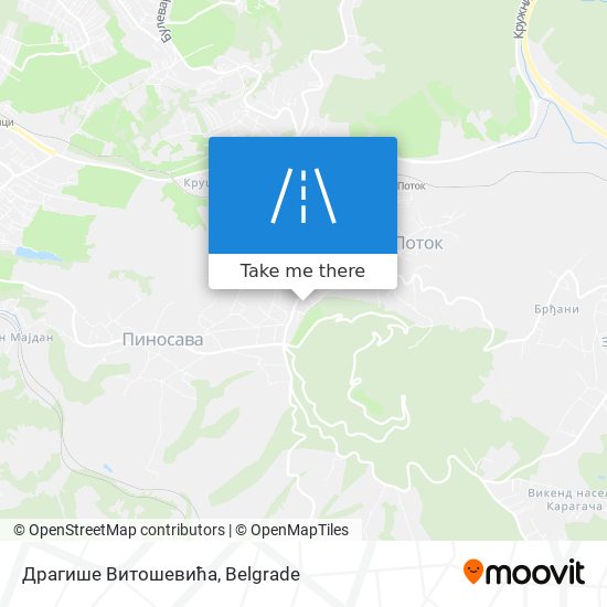 Драгише Витошевића map