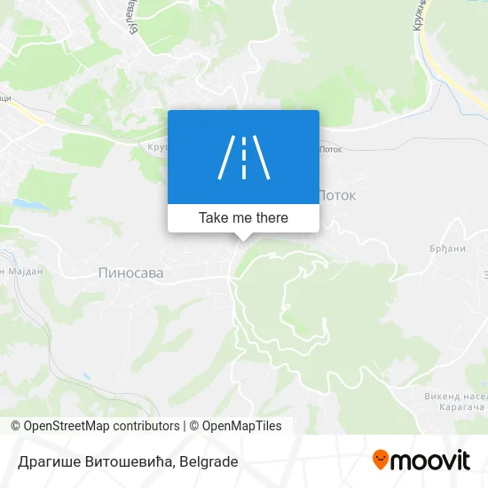 Драгише Витошевића map