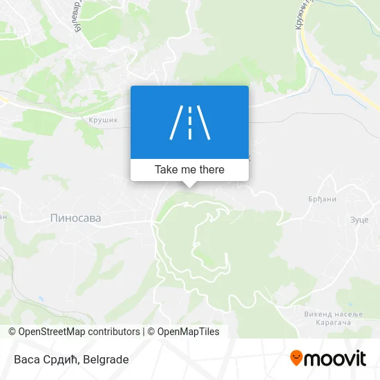 Васа Срдић map