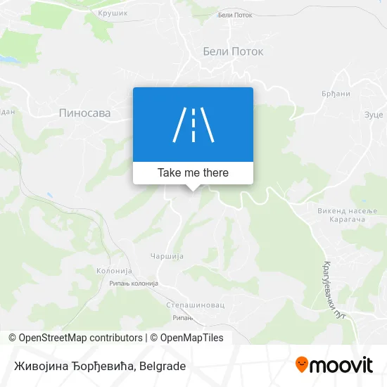 Живојина Ђорђевића map