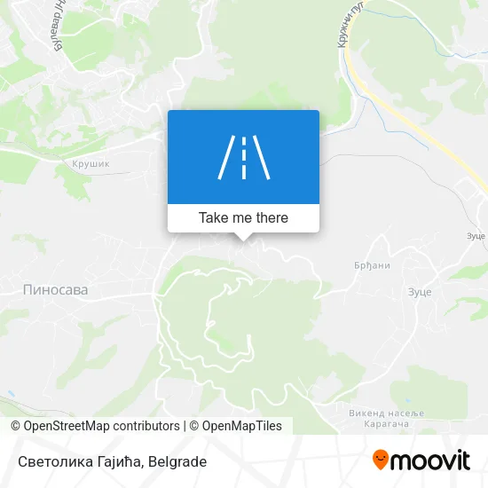 Светолика Гајића map