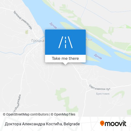 Доктора Александра Костића map