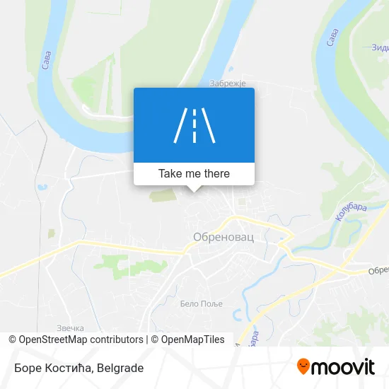 Боре Костића map
