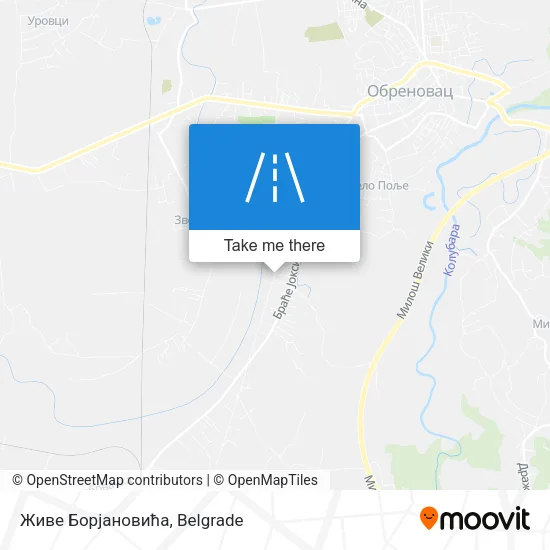 Живе Борјановића map