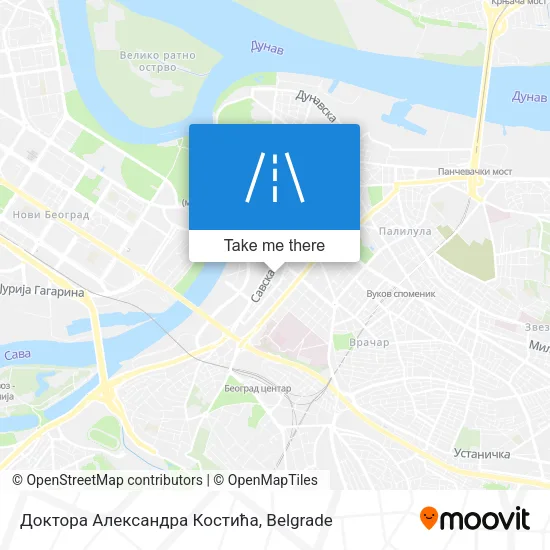 Доктора Александра Костића map