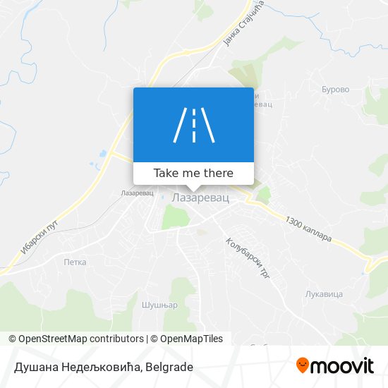 Душана Недељковића map