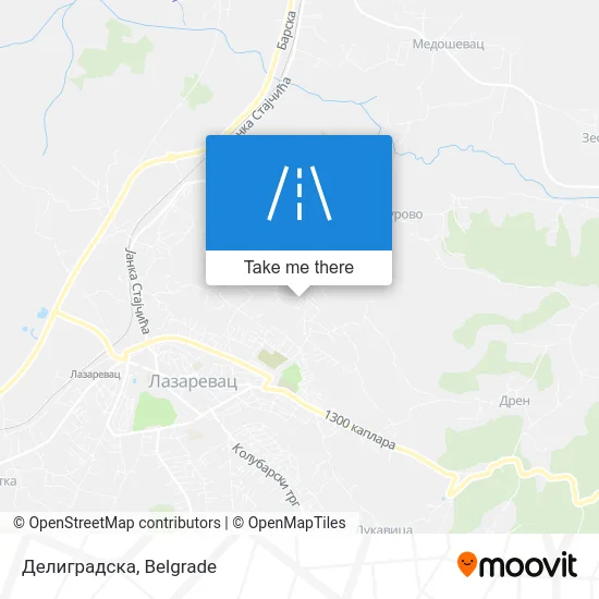 Делиградска map