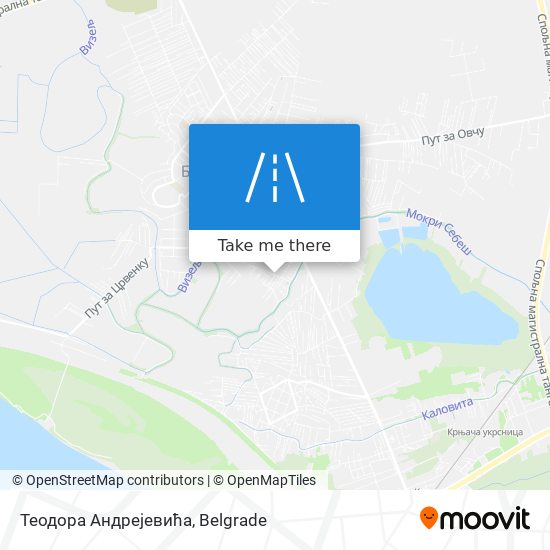 Теодора Андрејевића map