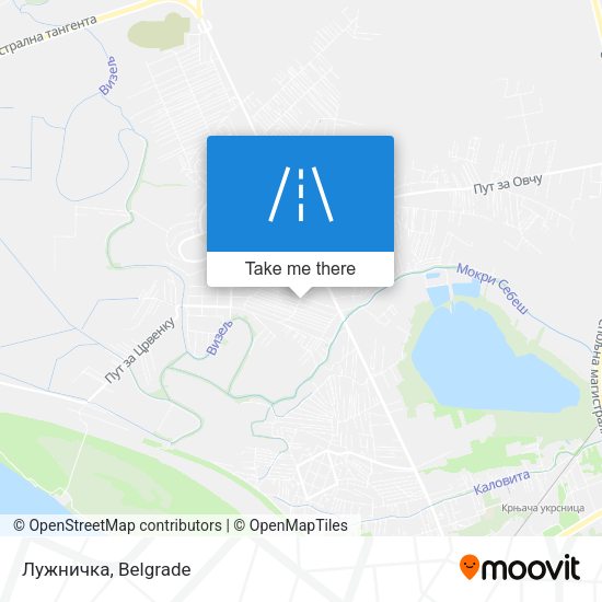 Лужничка map