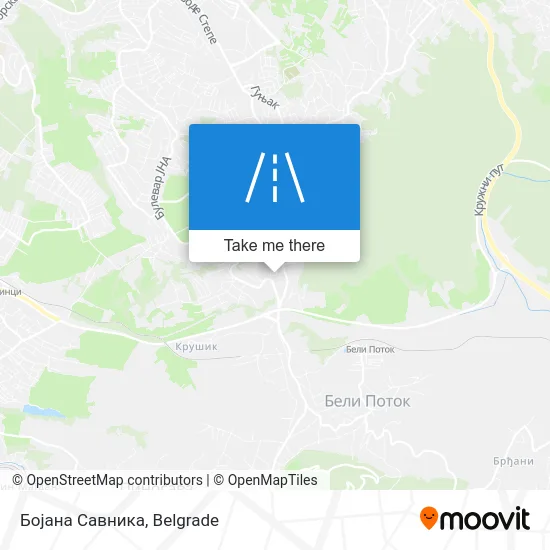Бојана Савника map