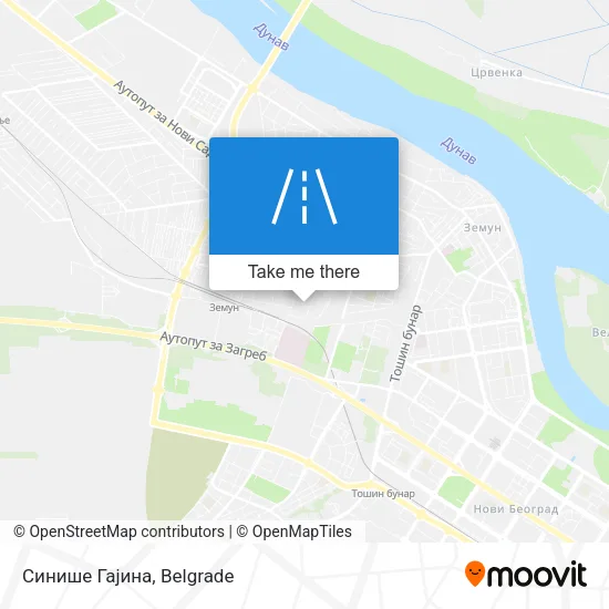 Синише Гајина map