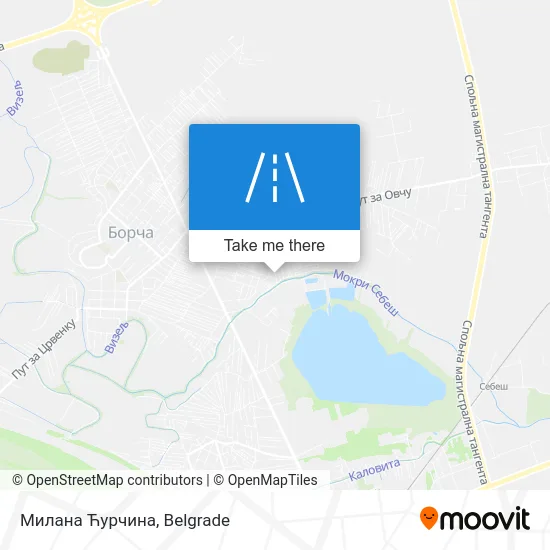 Милана Ћурчина map