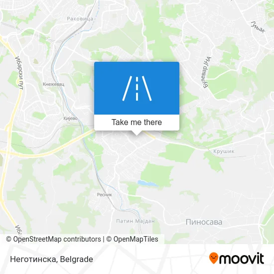 Неготинска map