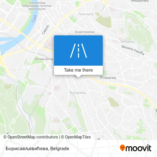 Борисављевићева map