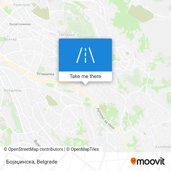 Бојаџинска map