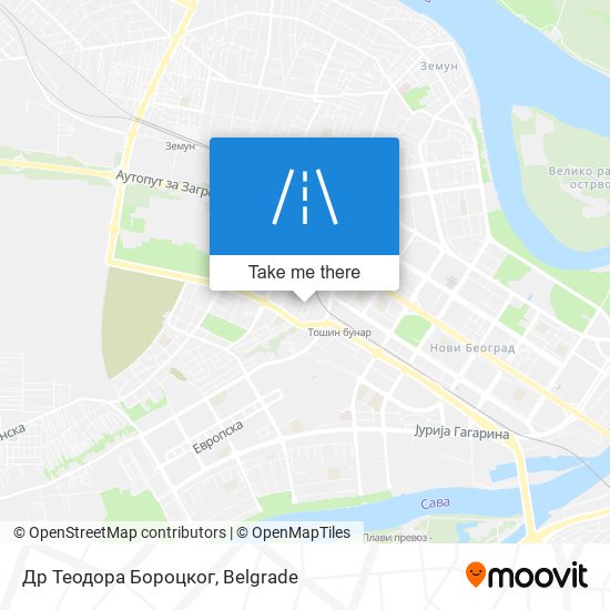 Др Теодора Бороцког map