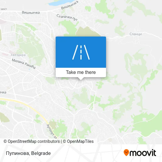 Пупинова map