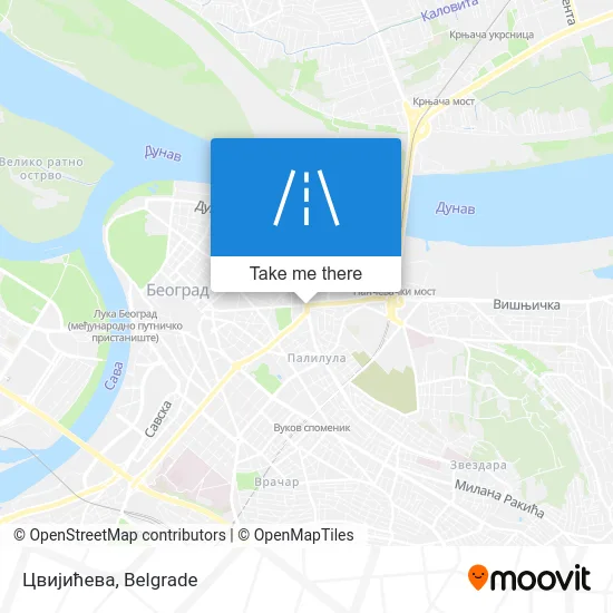 Цвијићева map