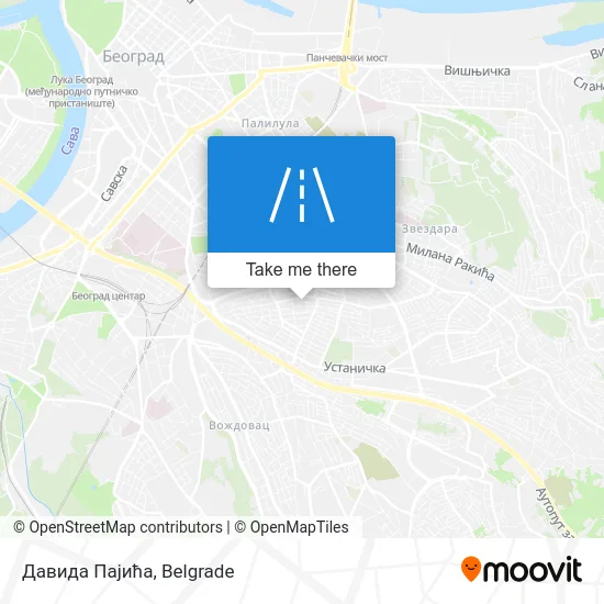 Давида Пајића map