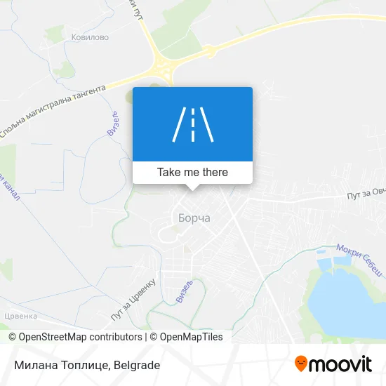 Милана Топлице map