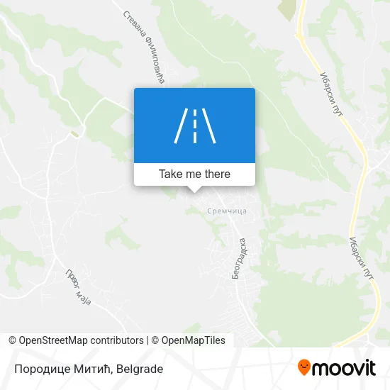 Породице Митић map
