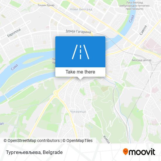 Тургењевљева map